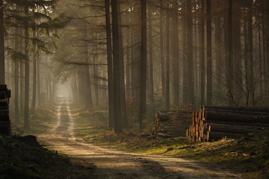 Вилла Reewold Veluwe Пюттен Экстерьер фото