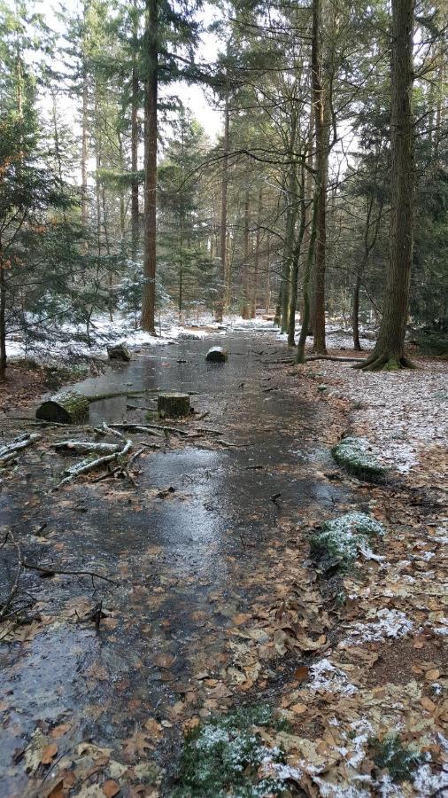 Вилла Reewold Veluwe Пюттен Экстерьер фото