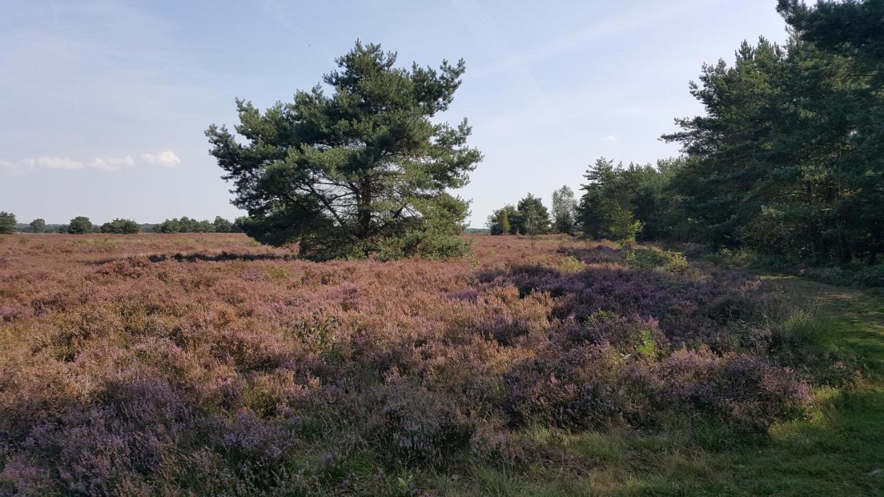 Вилла Reewold Veluwe Пюттен Экстерьер фото