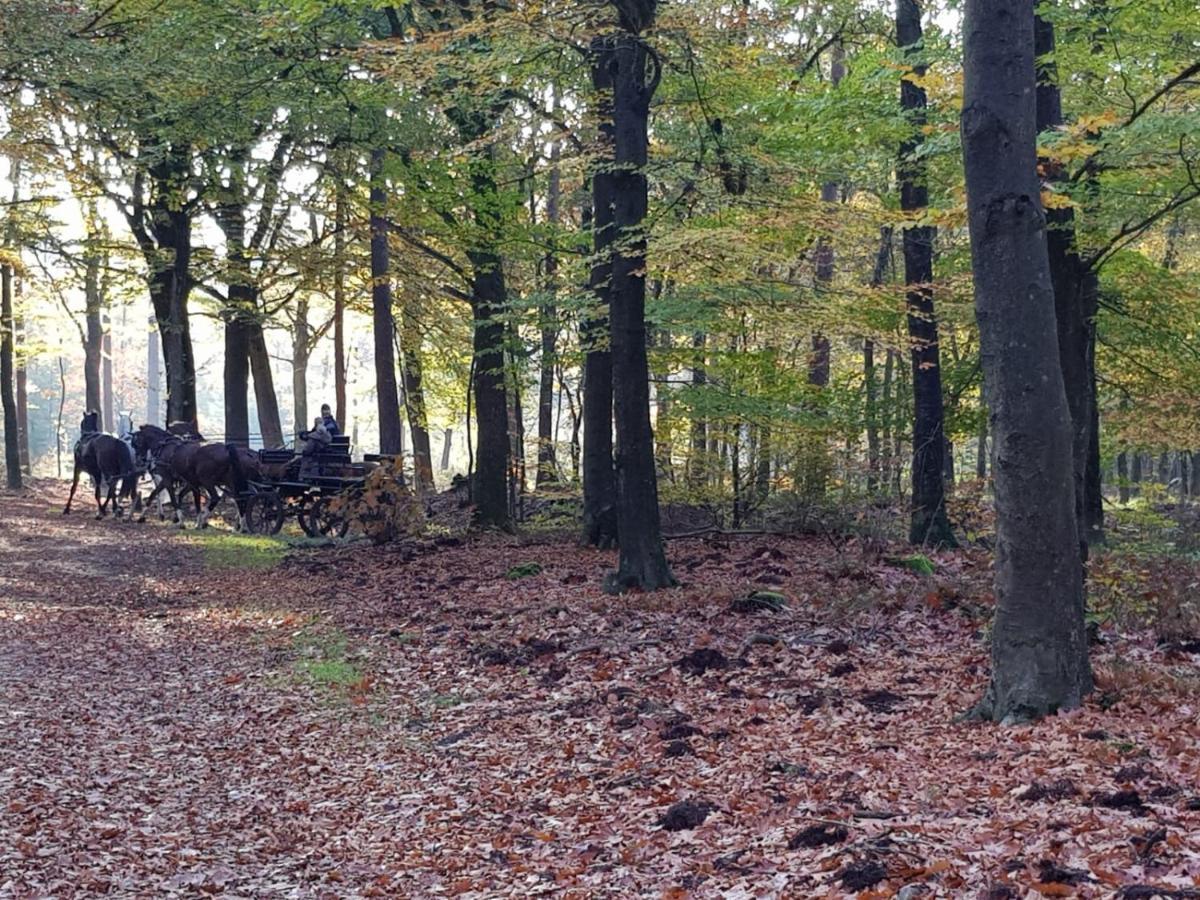 Вилла Reewold Veluwe Пюттен Экстерьер фото